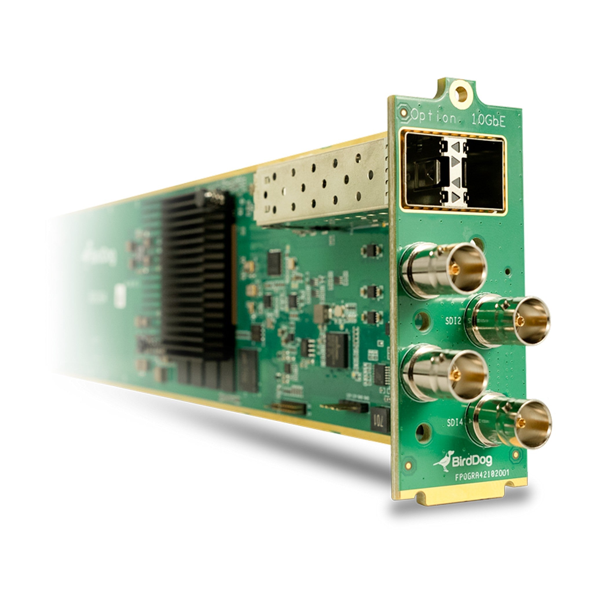 BirdDog OG4: 4-Channel NDI Encoder/Decoder Card for openGear with 10GbE SFP+