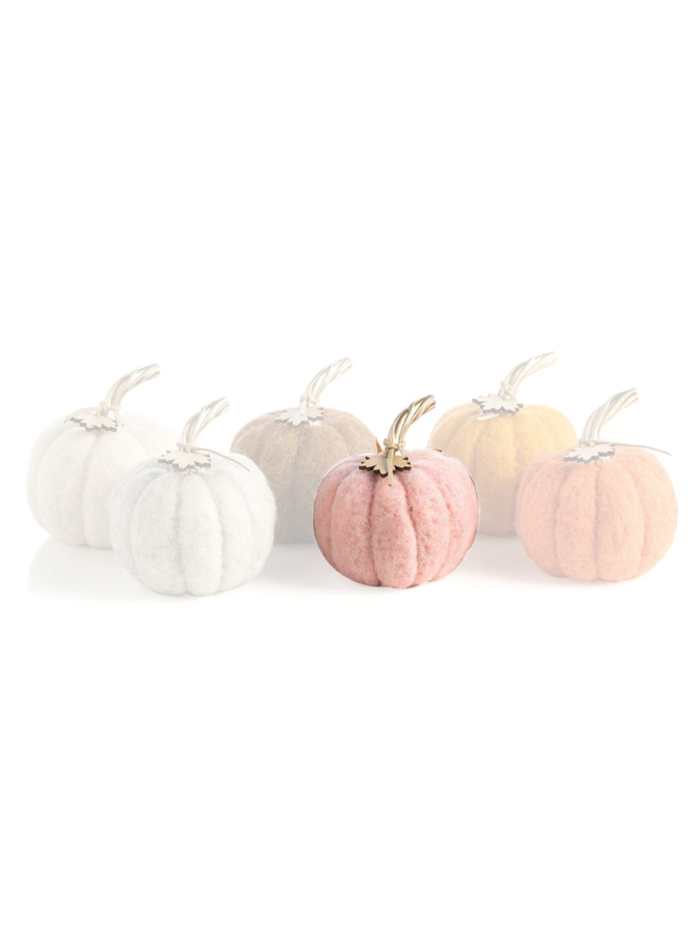 Shiraleah Felt Pumpkins in Assorted Neutral Colors with Gold Stem