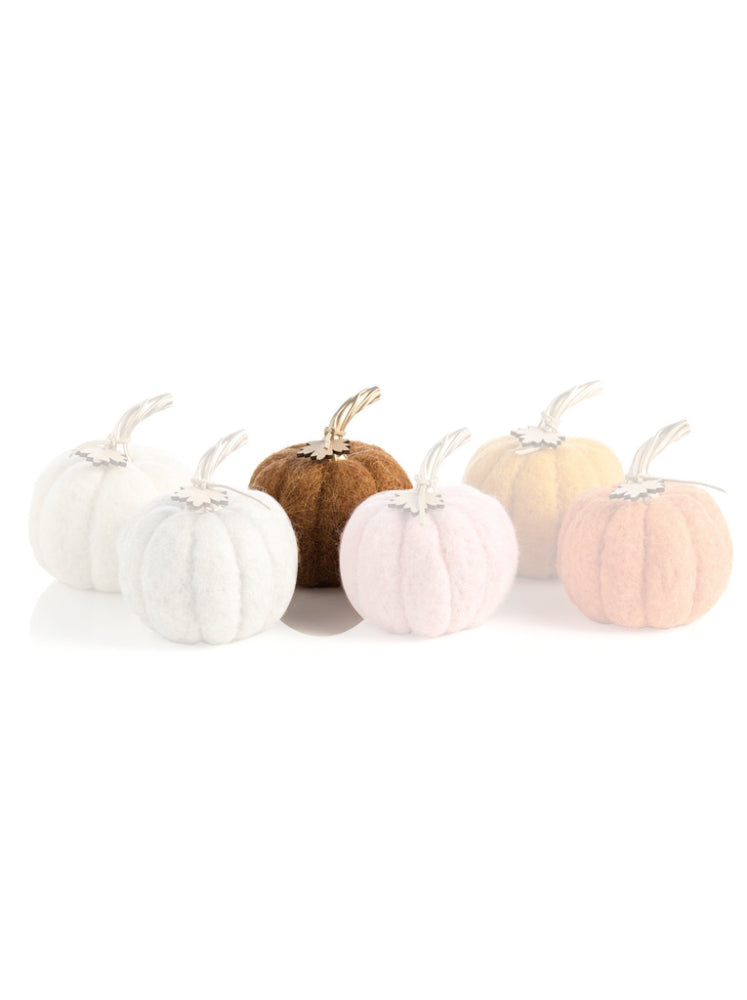 Shiraleah Felt Pumpkins in Assorted Neutral Colors with Gold Stem