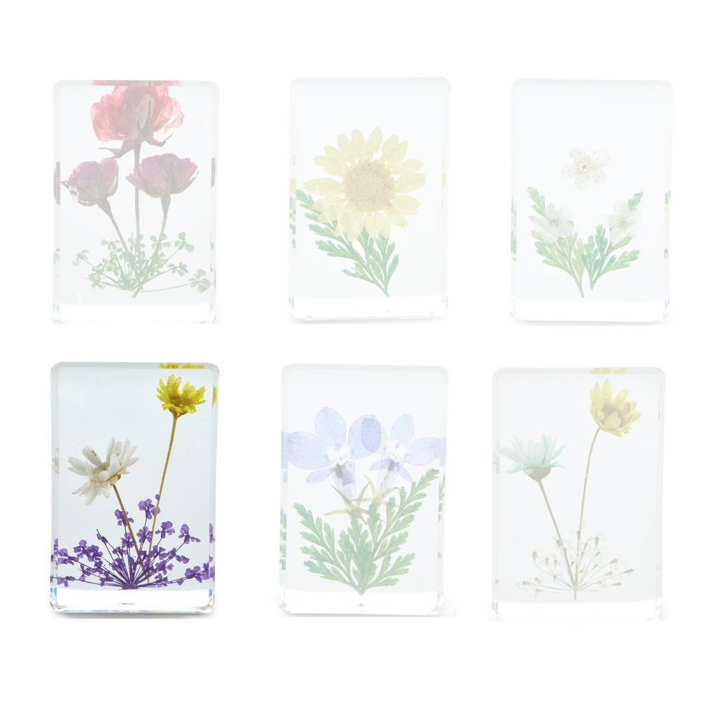 Two's Company Gift Boxed Wildflower Pressed Floral Keepsakes in 6 Designs