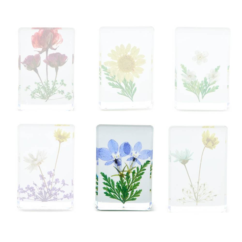 Two's Company Gift Boxed Wildflower Pressed Floral Keepsakes in 6 Designs
