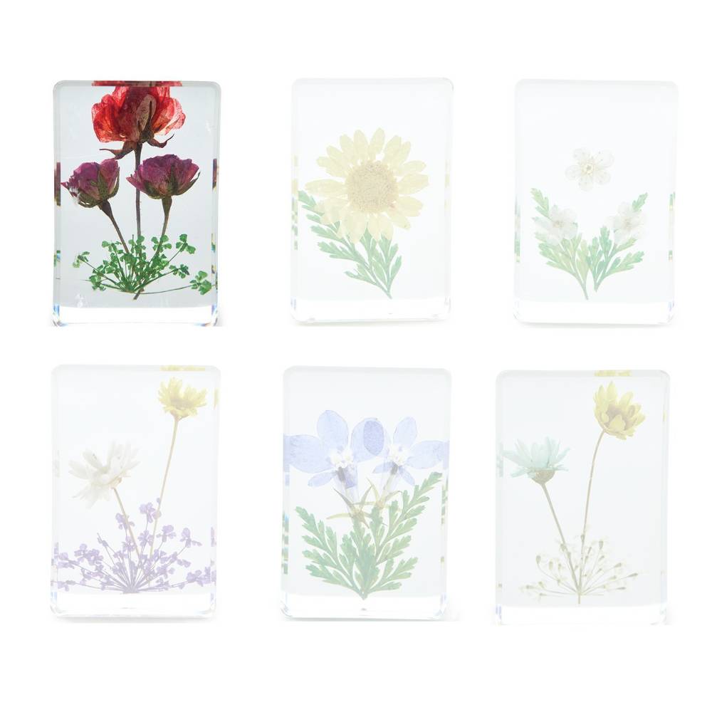 Two's Company Gift Boxed Wildflower Pressed Floral Keepsakes in 6 Designs