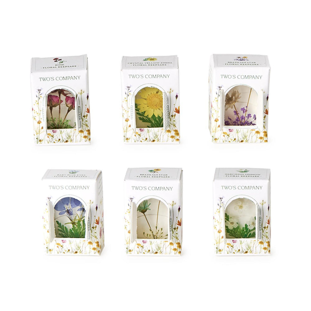 Two's Company Gift Boxed Wildflower Pressed Floral Keepsakes in 6 Designs