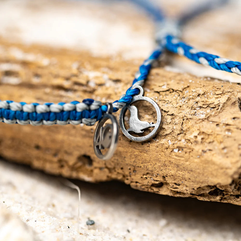 4Ocean 2024 November Exclusive Seal Bracelet - Limited Edition