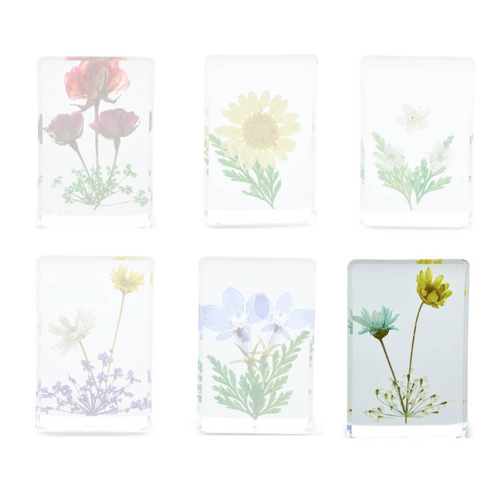 Two's Company Gift Boxed Wildflower Pressed Floral Keepsakes in 6 Designs