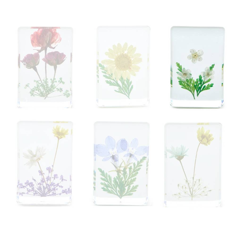 Two's Company Gift Boxed Wildflower Pressed Floral Keepsakes in 6 Designs