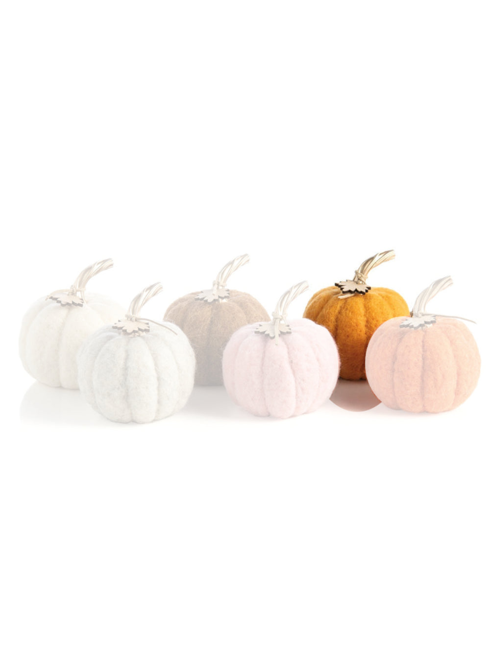 Shiraleah Felt Pumpkins in Assorted Neutral Colors with Gold Stem