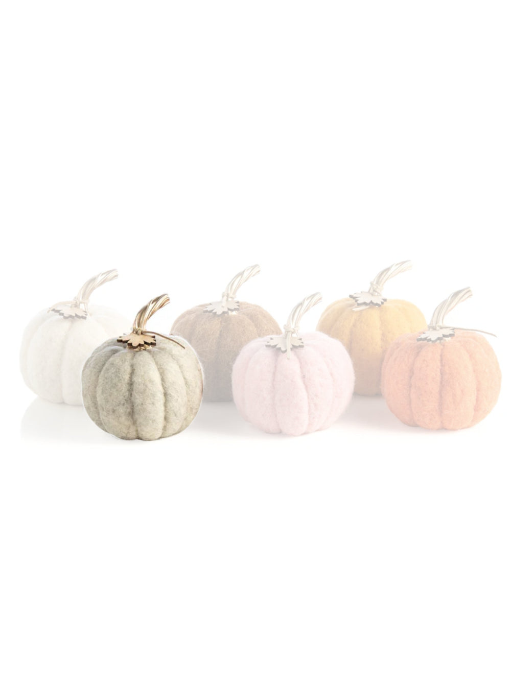 Shiraleah Felt Pumpkins in Assorted Neutral Colors with Gold Stem