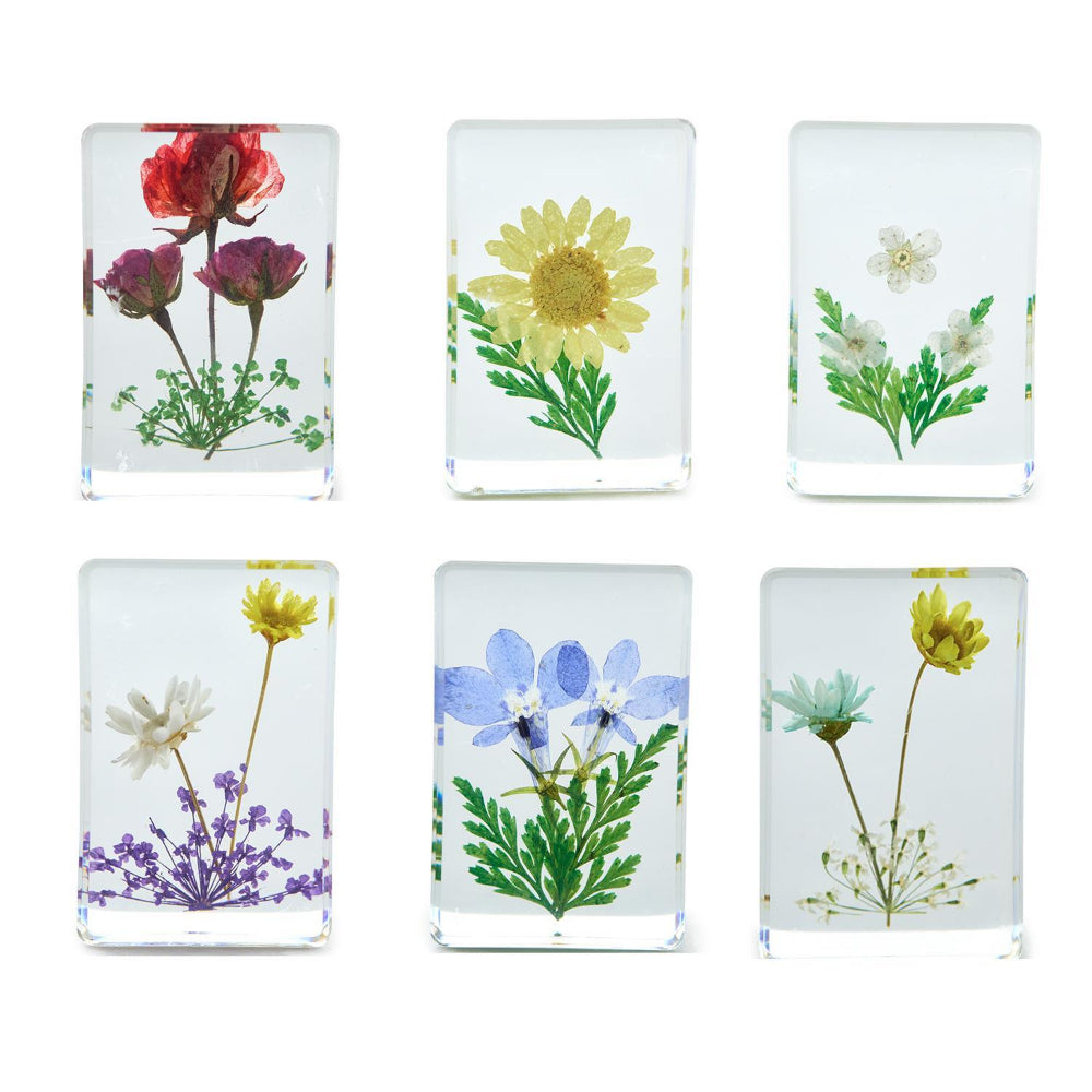 Two's Company Gift Boxed Wildflower Pressed Floral Keepsakes in 6 Designs
