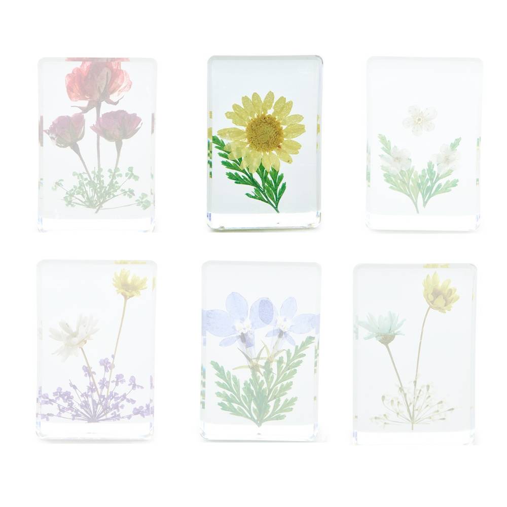 Two's Company Gift Boxed Wildflower Pressed Floral Keepsakes in 6 Designs